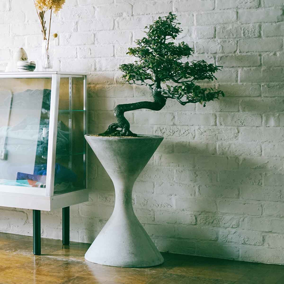 ������ �� SPINDLE S