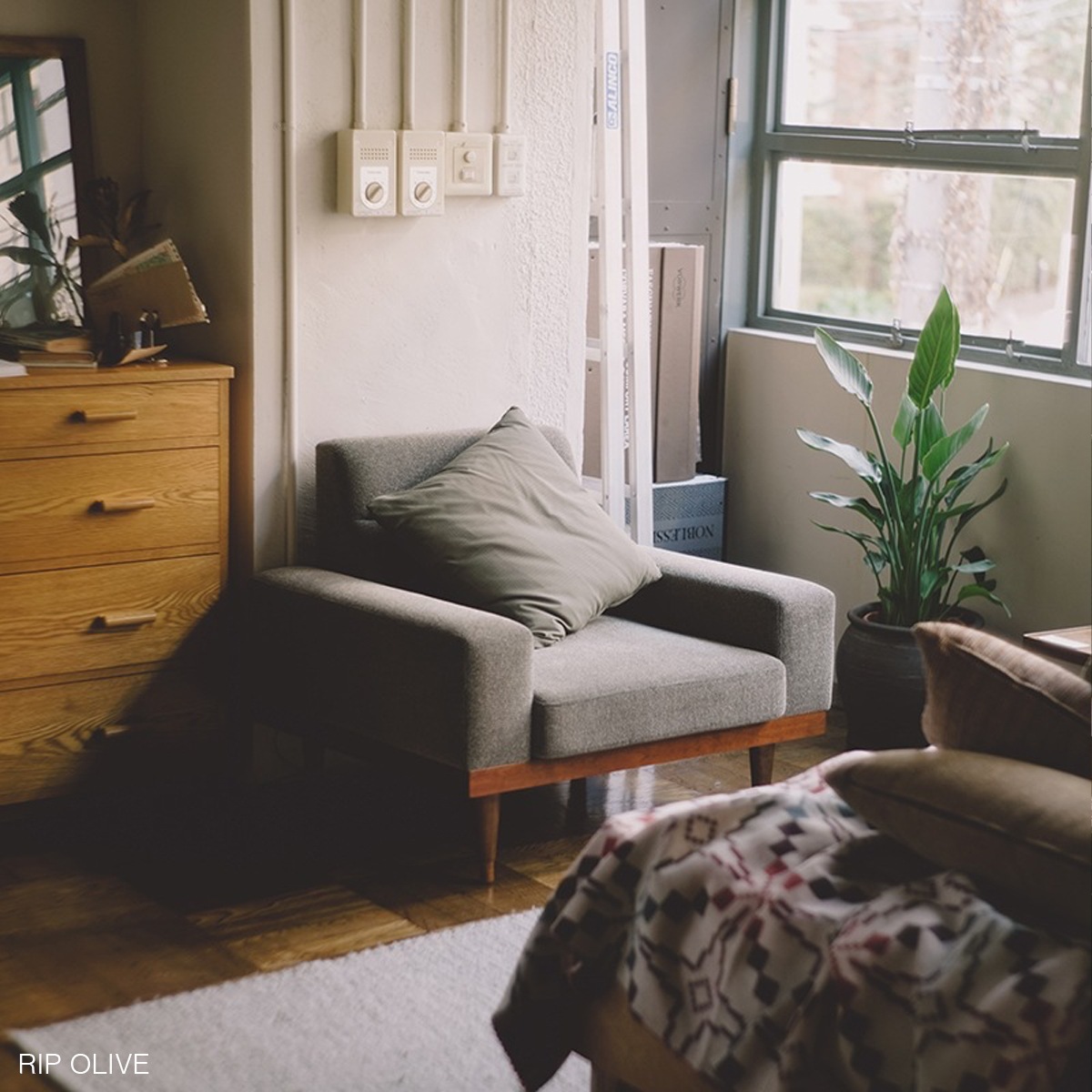 CUSHION  500��500