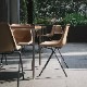 ROBIN DAY POLYSIDE CHAIR / Dark Grey Frame