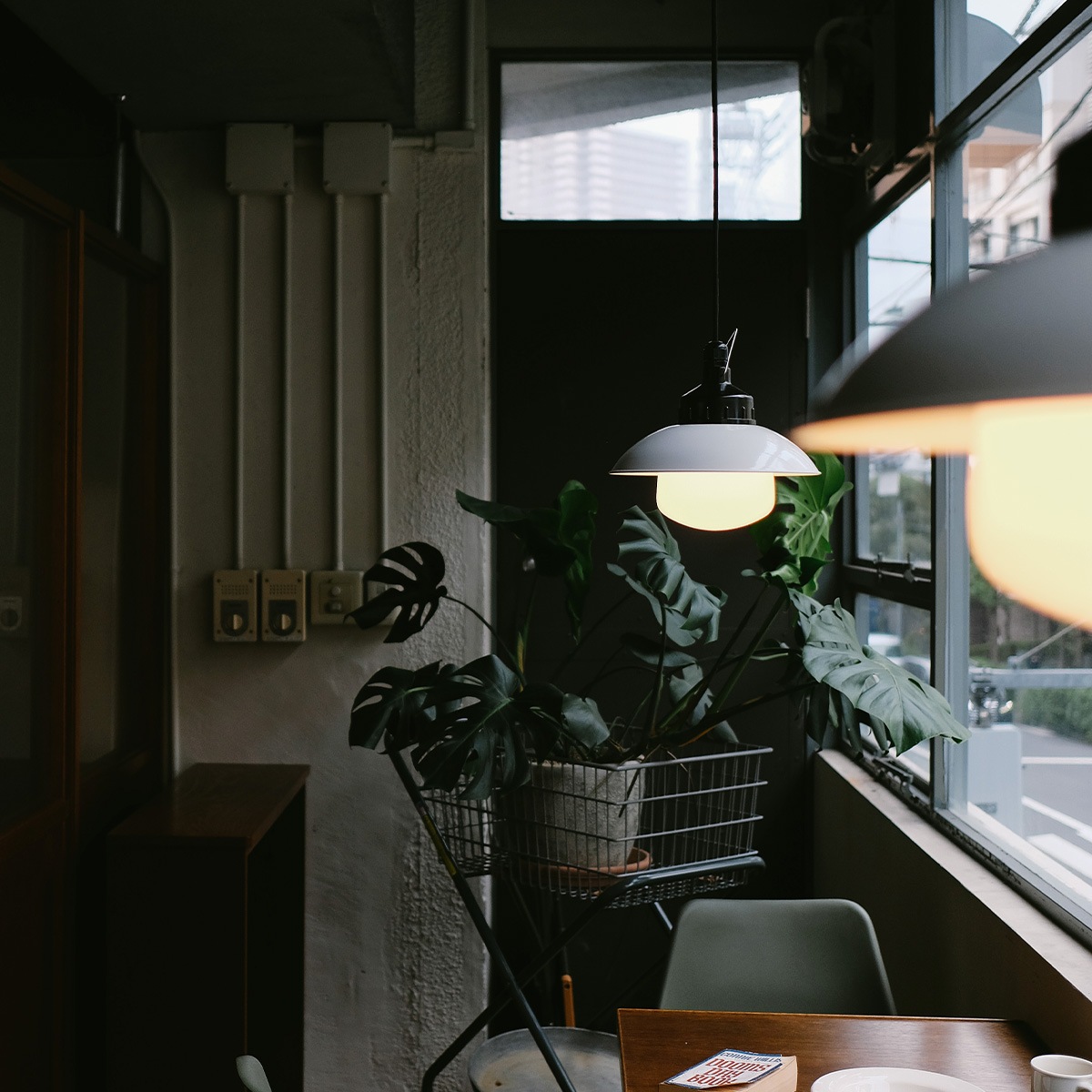 THPG PENDANT LIGHT 