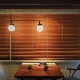 THPG PENDANT LIGHT