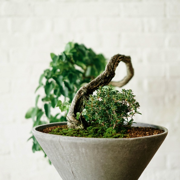 ĥťե/ĥ/֥ SPINDLES)