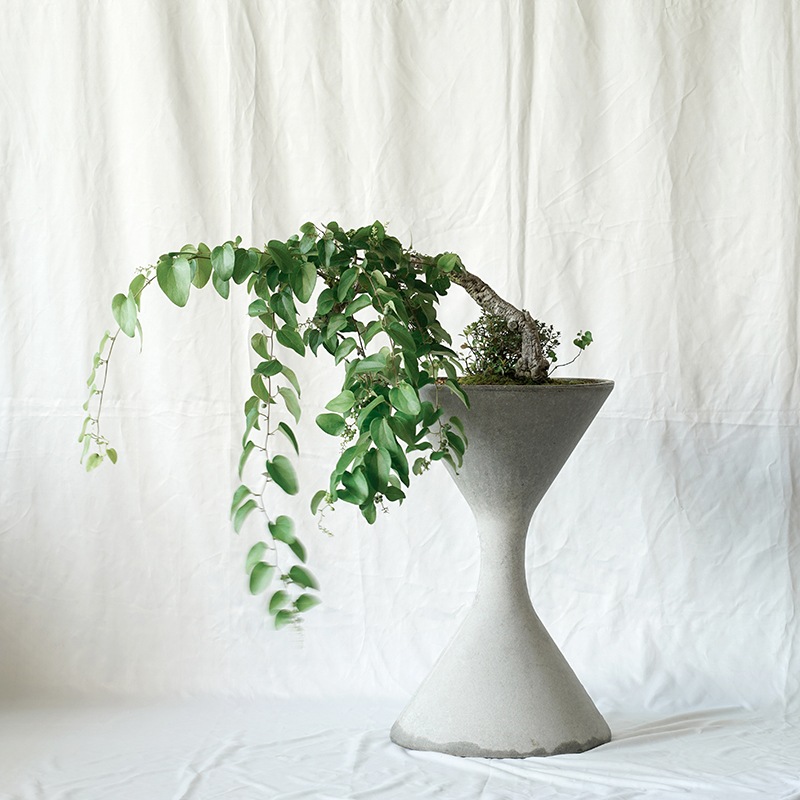 ĥťե/ĥ/֥ SPINDLES)