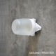 THPG Lindner PORCELAIN LAMP CEILING  CLEAR/FROSTED