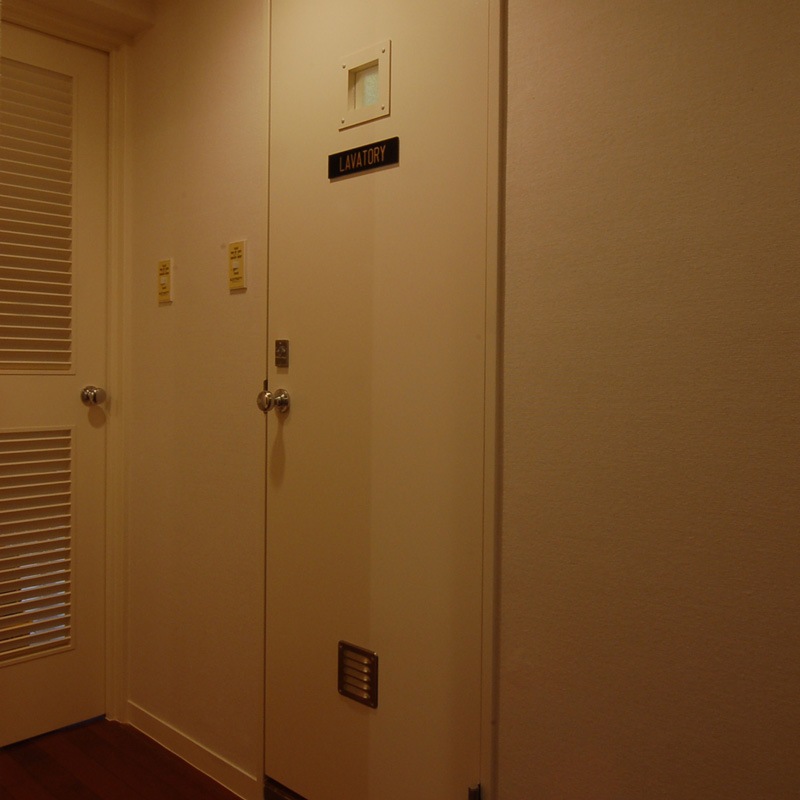 DOOR KNOB - PEARL NICKEL PLATED��SOLID)