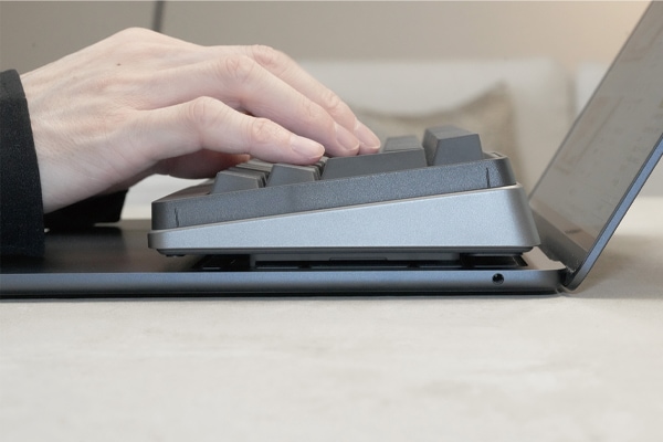 タイプスティックス/打ち箸（ブラック）