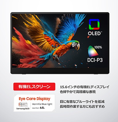 RICOH Light Monitor 150｜PORTABLE DISPLAY｜PFUダイレクト