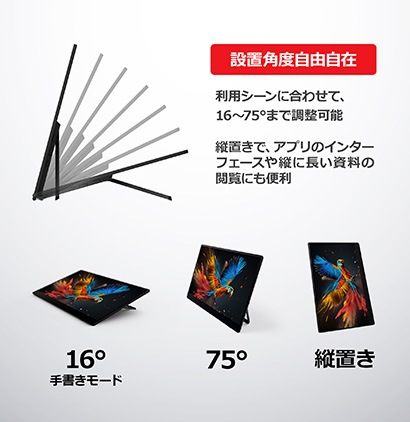 RICOH Light Monitor 150BW