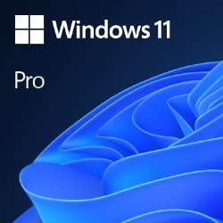 Microsoft Windows 11 Pro 64Bit Japanese 1pk DSP OEI DVD　FQC-10539