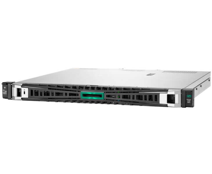 【即納/在庫あり】 HPE ProLiant P65393-291 DL20 G11 E-2414 1P4C 16G NHP 2LFF VROC