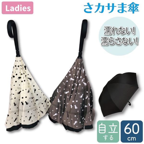  ޻ ɥåȥͥ 60cm 8ܹ   ̵ Ĺ ؿ ǥ  դ  Ǩʤ Ǩ餵ʤ Ω Ω ʥڡ  ǭ