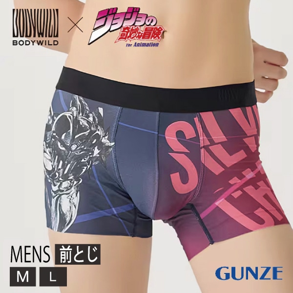 GUNZE BODYWILD ������ ���� �ܥǥ��磻��� ���祸��δ�̯������ ����ܥǥ����� ��� �ܥ������ѥ�� ���Ȥ� ���� �ѥ�� ����ʡ� �»�  2�Ĥޤǥ᡼���ز�