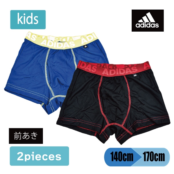 �Ҷ����ܡ����� �ˤλ� �˻� 2P�ܥ����� ���ǥ����� GUNZE �ܥ������֥꡼�ա���������2���� 140 150 160 170 ���� �ɥ饤 �۴� ®��