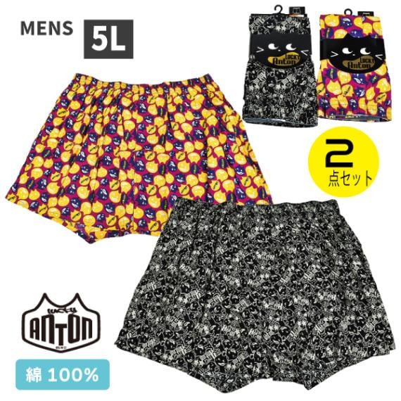 ��� ��å�������ȥ� LUCKYANTON �ȥ�󥯥� 2���� �»� ���� ��100�� ������ ���� 2�祻�å� ������� ���ä����� �礭��������  5L