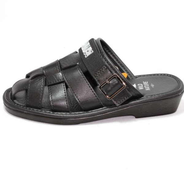 ��� �ɥ饤�ӥ󥰥������ WILD NATURE �����奢�� ������� WILDNA901 �� ��