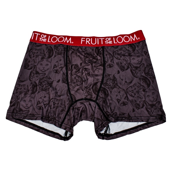 ��� FRUIT OF THE LOOM �ե롼�ĥ��֥��롼�� �ܥ������֥꡼�� ǭ ����å� �ܥ������ѥ�� ���Ĥ� ���Ȥ� �»� ȩ�� �ѥ�� ���� ����ʡ� M-LL 1P ��2���ޤǥ᡼���زġ�