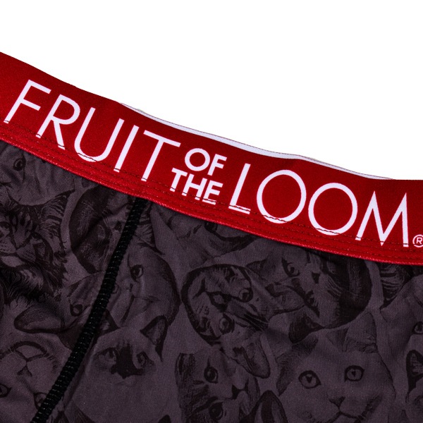 ��� FRUIT OF THE LOOM �ե롼�ĥ��֥��롼�� �ܥ������֥꡼�� ǭ ����å� �ܥ������ѥ�� ���Ĥ� ���Ȥ� �»� ȩ�� �ѥ�� ���� ����ʡ� M-LL 1P ��2���ޤǥ᡼���زġ�