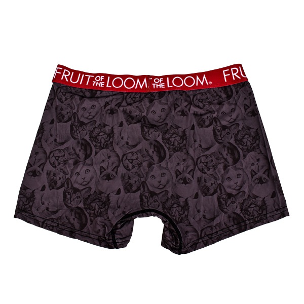 ��� FRUIT OF THE LOOM �ե롼�ĥ��֥��롼�� �ܥ������֥꡼�� ǭ ����å� �ܥ������ѥ�� ���Ĥ� ���Ȥ� �»� ȩ�� �ѥ�� ���� ����ʡ� M-LL 1P ��2���ޤǥ᡼���زġ�