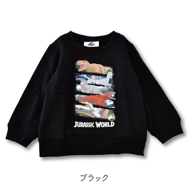 USA製 90's JURASSIC PARK スウェット　トレーナー M 公式 44fadc001e7a9d45b4e02dd28ab557