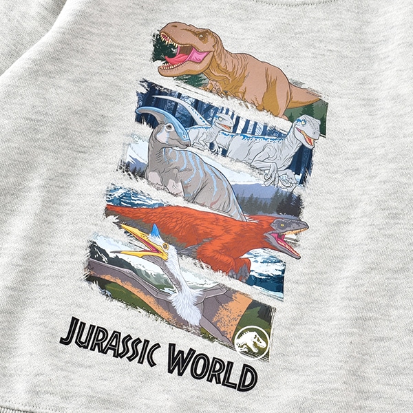 ◇期間限定20%ポイントUP◇長袖 スウェット ジュラシック