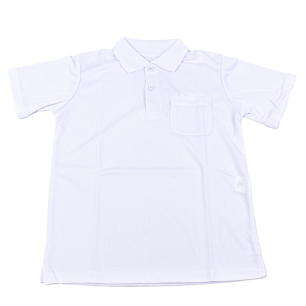 �ڤ����󤻾��ʡ� Ⱦµ �ݥ������ �������� �ع� ���� �� ��̵�� �ݥ� ���ع� �̱� �̳� ������� �ɥ饤 ���å� ����˥� ̾���ơ��� ��1���ޤǥ᡼���زġ�