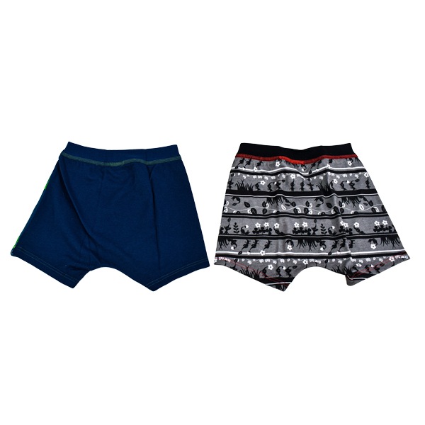 ピクミン ボクサーパンツ 2枚組 キッズ ボーイズ 男の子 男児 ボクサー