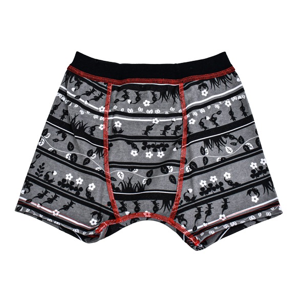 ピクミン ボクサーパンツ 2枚組 キッズ ボーイズ 男の子 男児 ボクサー