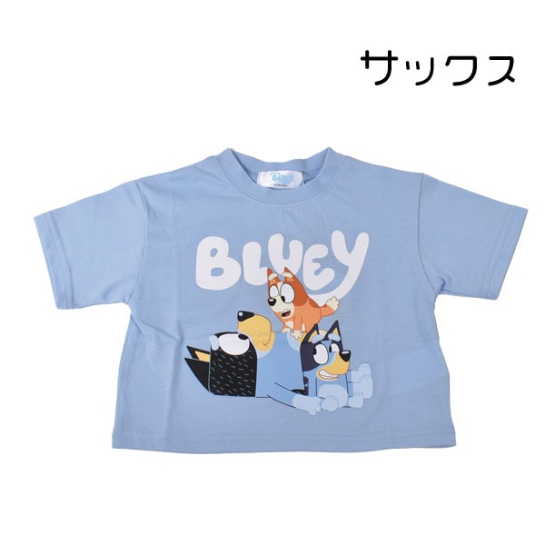 �֥롼�� BLUEY Ⱦµ T����� �ȥåץ� ���å� �٥ӡ� �Ҥɤ� �Ҷ��� �˻� ����˥� �ˤλ� ���� ���λ� �ץ��� 80-130 ����饯���� ��1���ޤǥ᡼���زġ�