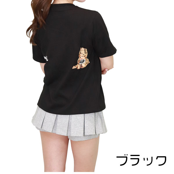 ��ǥ����� Ⱦµ T����� �����å�  ���襤�� ��Υȡ��� �֥�å� �ۥ磻�� ����饯���� ������� ʿ�� �ȥåץ� �ե꡼������ ��1���ޤǥ᡼���زġ�