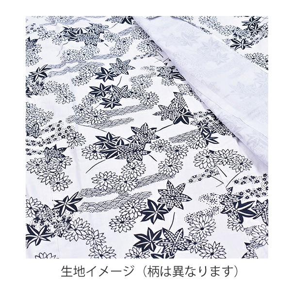 ؿ ǥ  100 ť ͤޤ M-LL ͥޥ     Ŭ Ԥη