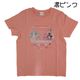 ̾õ��ץꥭ�奢 �ץꥭ�奢 T����� Ⱦµ �Ҷ� ��100% �� �� �ץ��� �ԥ� 100 110 120 ���λ� �ץ쥼��ȡ�1���ޤǥ᡼���زġ�
