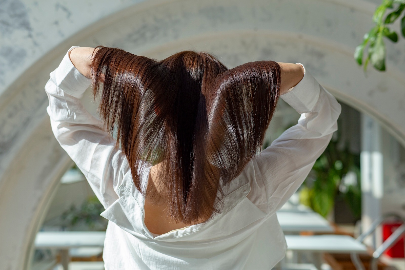 インバス4点セット＆シナジートップ