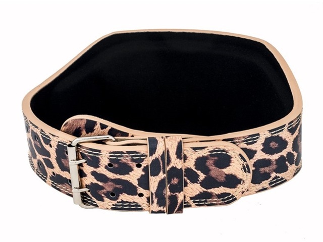 Unbroken Designs 50%OFFLioness 15 쥶٥