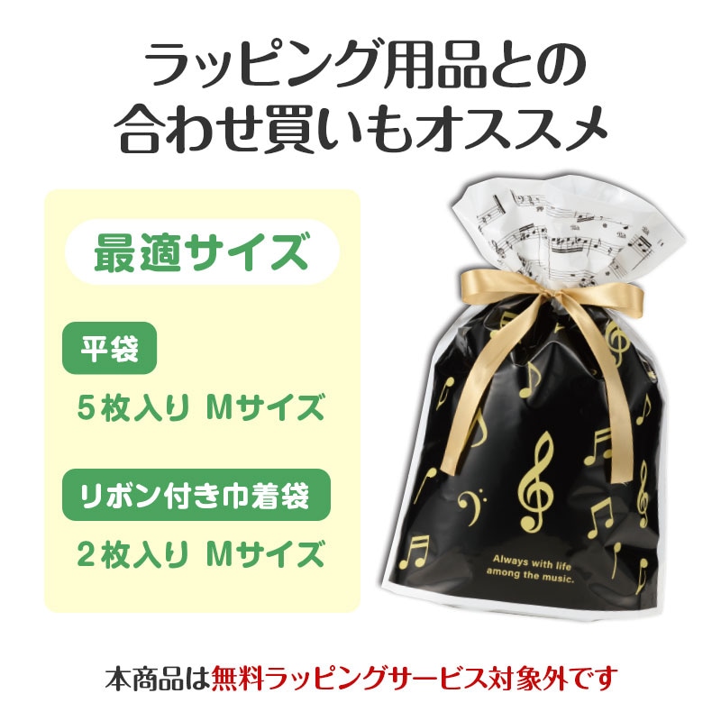 ハンドメイド 移動ポケット 保冷バック 巾着 ピアノ おんぶ 黒 WEB限定同時購入でお得！】サマーセットブラック（折りたたみ傘&クール
