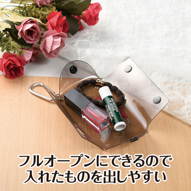 イジンクラス クリアマルチケース（ショパン）｜ピアノライン(Piano