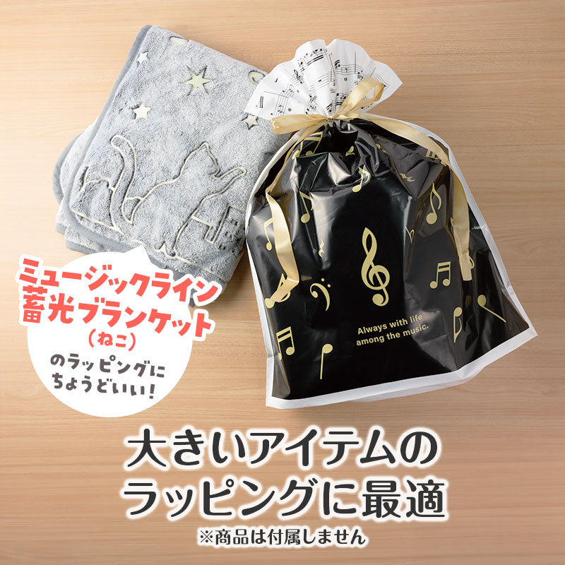 ラッピング用 リボン付き巾着袋（音符）2枚入り Lサイズ｜ピアノ