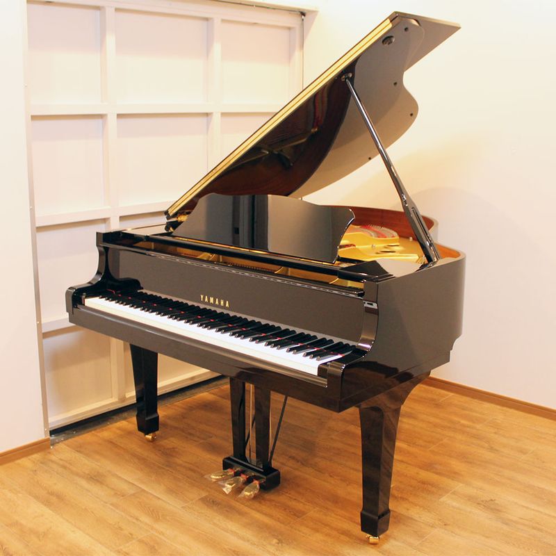 YAMAHA G1E