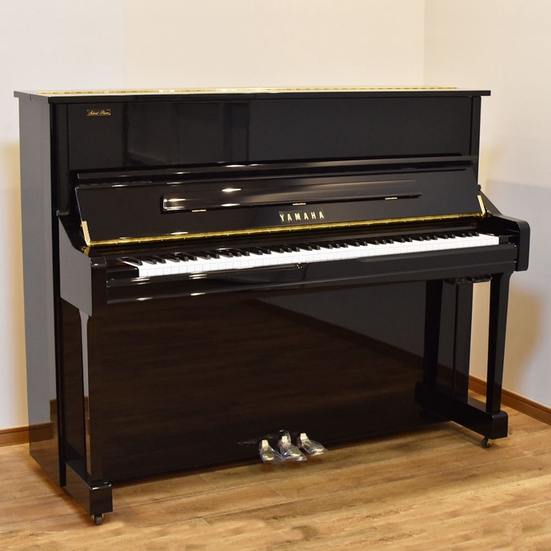 YAMAHA YS10Z  