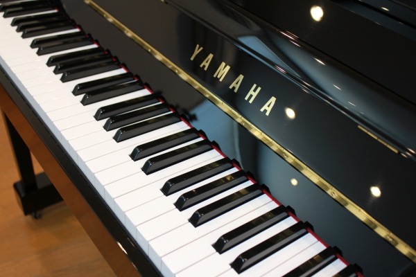 YAMAHA　YM5
