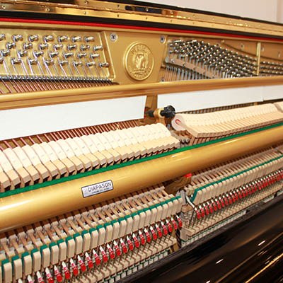 おまかせコース