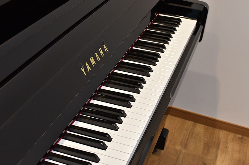 YAMAHA YS10Z