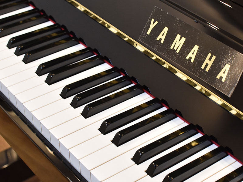 YAMAHA YM5SD