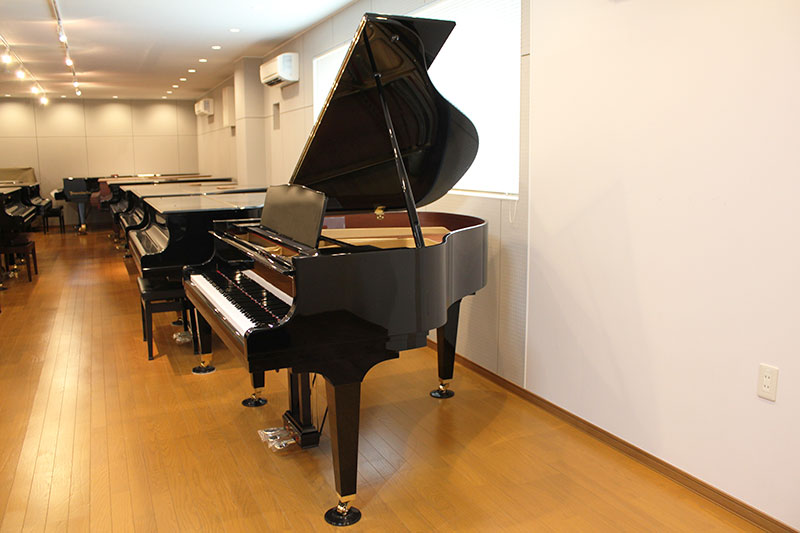 KAWAI GM10