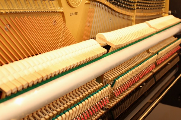 KAWAI　KU10