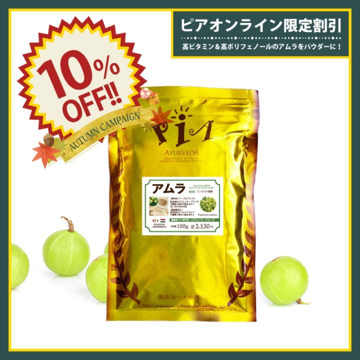 10OFFۥ 100g (ϥ֥饷åȤϤĤƤޤ)