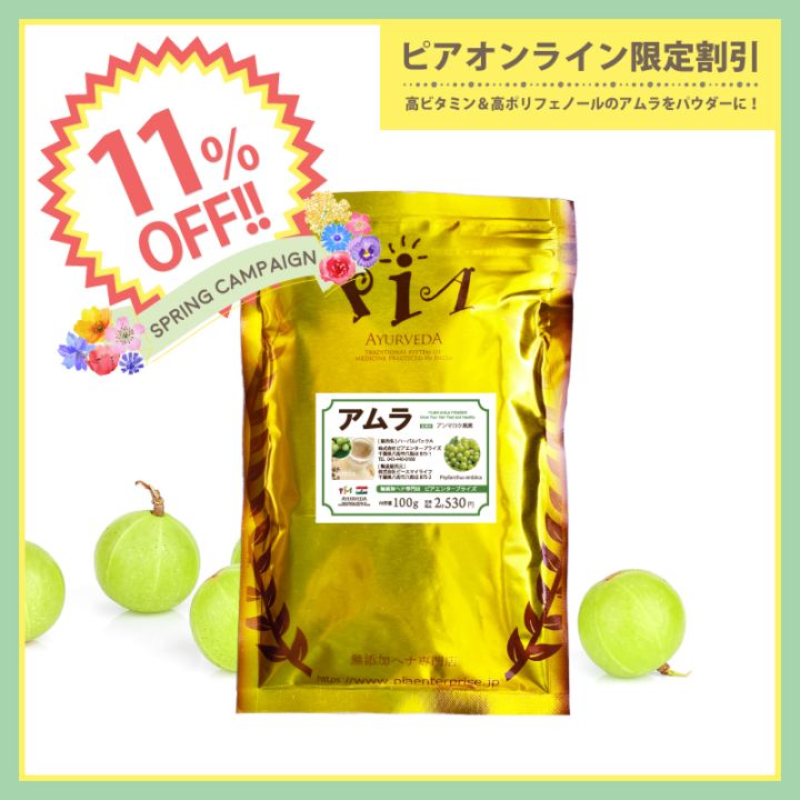 ��11��OFF�ۥ���� 100g (���ϥ��֥饷���åȤϤĤ��Ƥ���ޤ���)