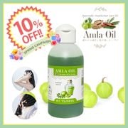 ��10��OFF�ۥ���饪���� 150ml [ �إ������� �������������������� ]