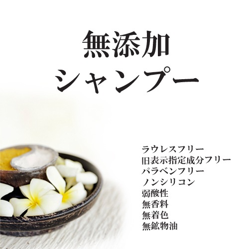 かの子のハーバル ヘナシャンプー 100ml [ お試しサイズ