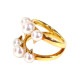 TASAKI ������ �ǥ��󥸥㡼�����ͥ��㡼�ѡ��� ��� 11�� ������� �����ֹ桧11397