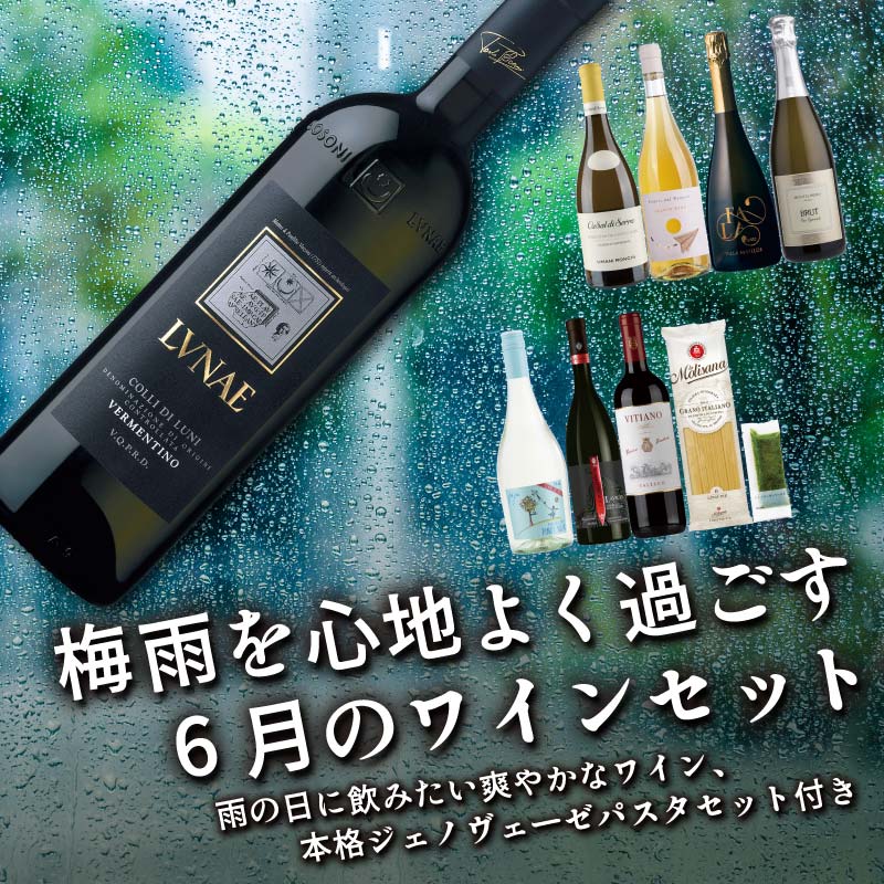 セ*ク様 ワイン6本セット セットワイン 【33％OFF 送料無料】梅雨を心地よく過ごす6月のワイン